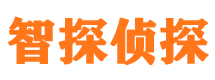 石峰智探私家侦探公司